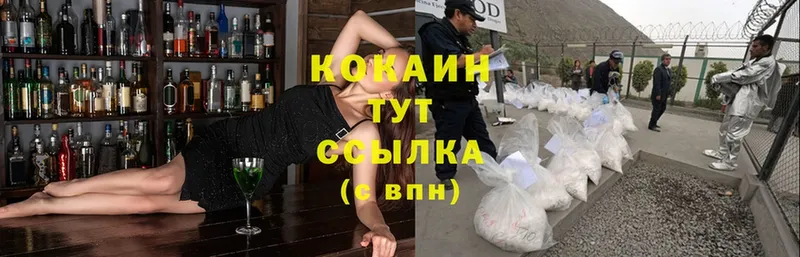 Cocaine Fish Scale  Великий Устюг 